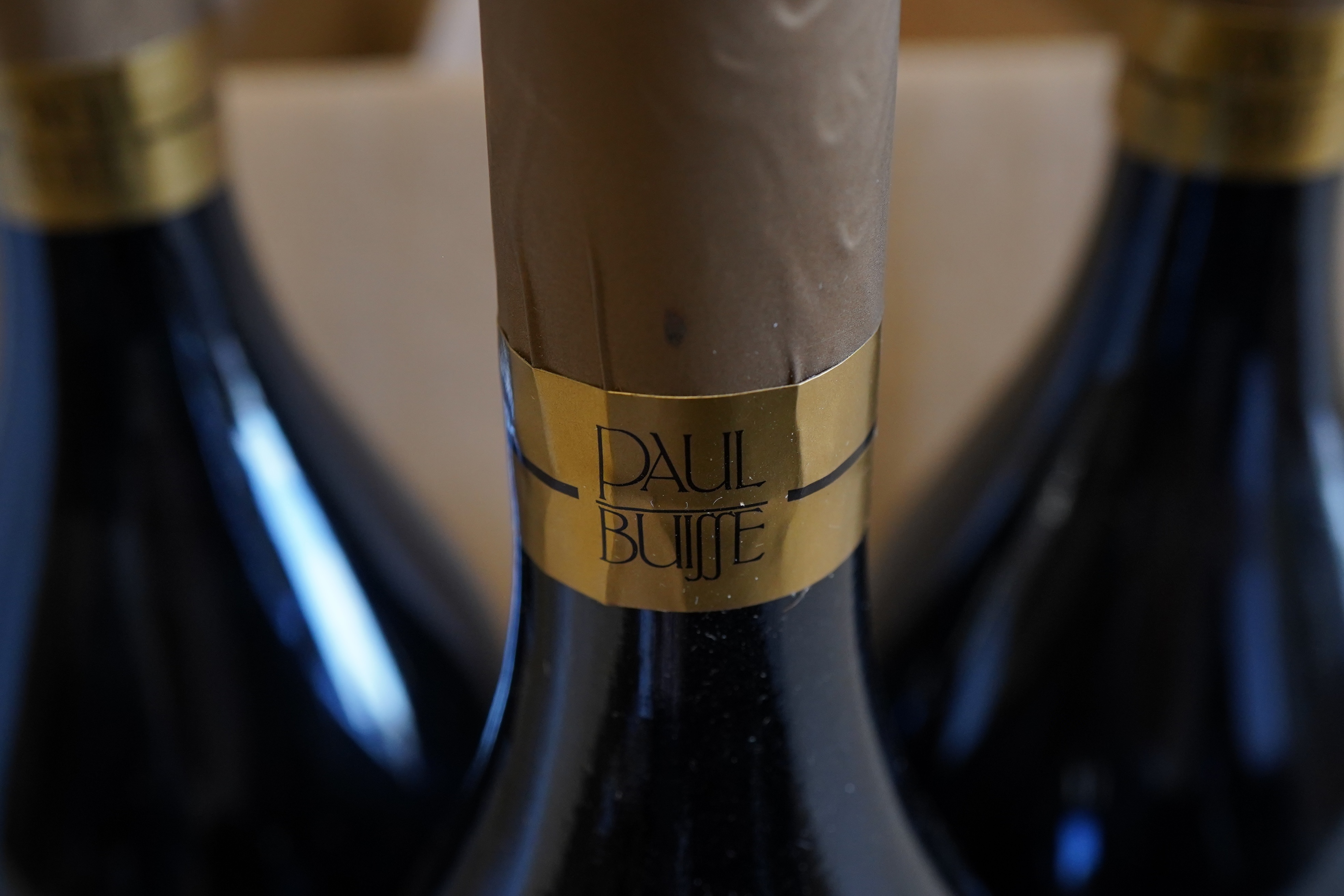Domaine Paul Buisse, Cuvee du Centenaire, Chinon, 2003